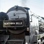northern belle train front